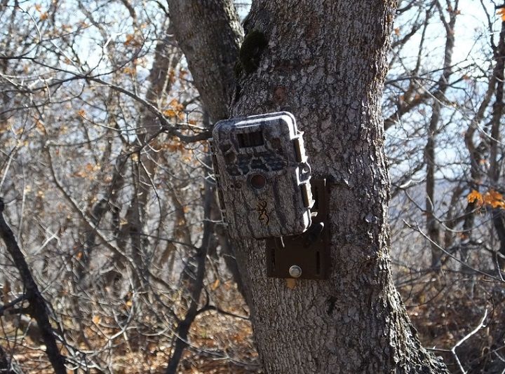 game camera