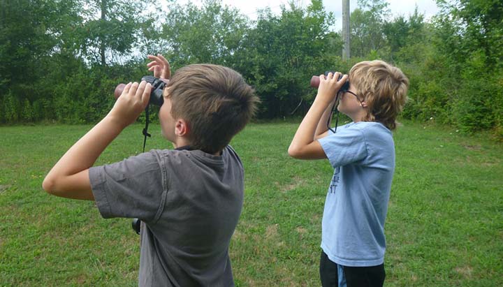best birding binoculars