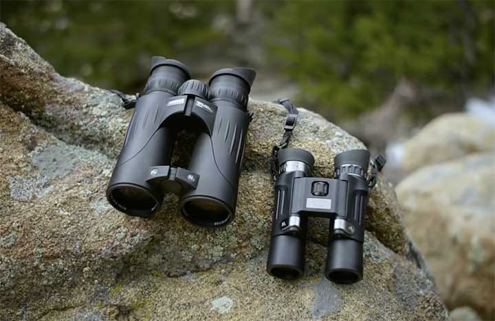Best Compact Binoculars for Hunting, Hiking and Bird Watching