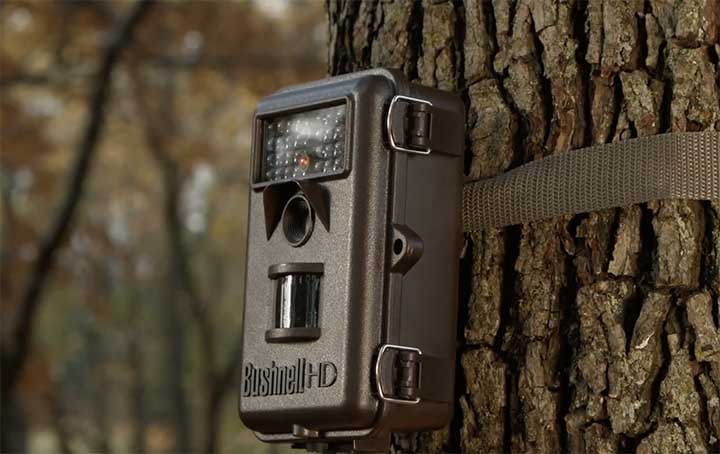 Trail Cameras