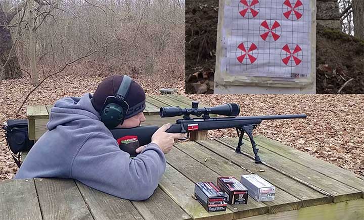 best scope for 17 wsm